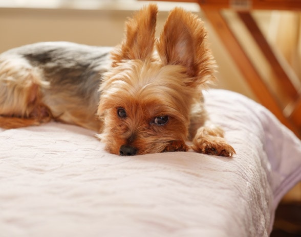 公共施設の写真